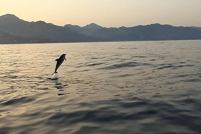 2.5 Hours Sunset Boat Tour in Search of Dolphins - Looking for dolphins near Taormina