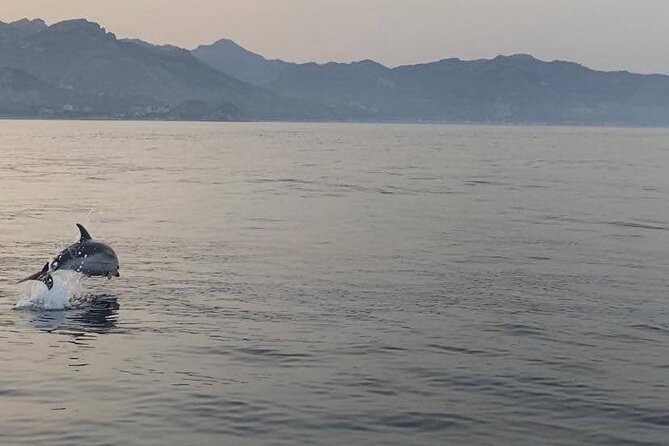2.5 Hours Sunset Boat Tour in Search of Dolphins - Prosecco, almond paste, and a casual onboard mood