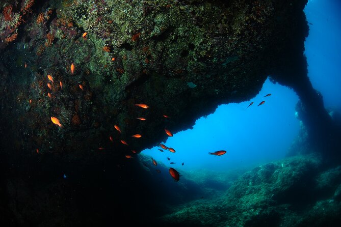 2 Dives from Diving Center (with full equipment) - What makes the lava bay at Campeggio Jonio special