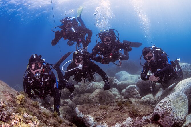 2 Dives from Diving Center (with full equipment) - A four to five hour morning on the water