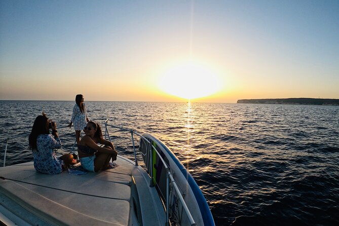 3-Hour Dolphin watching at sunset with aperitif - Watching dolphins in the open sea