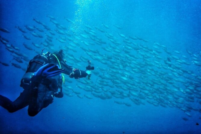 3-Hour Try Scuba Private Guided Sea Baptism from Palermo - The lesson before entering the sea