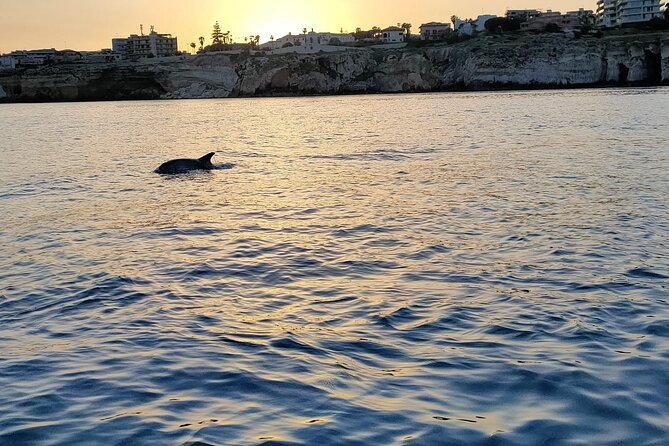 3 Hours Private Boat Tour of the Island of Ortigia with Aperitif - Why Ortigia looks different from the water