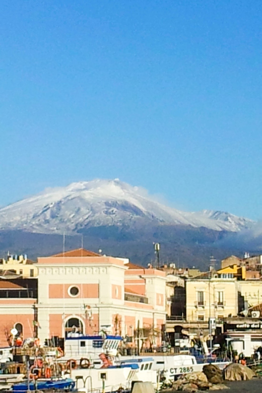 6-Hour Mount Etna Excursion - Key points to know before booking