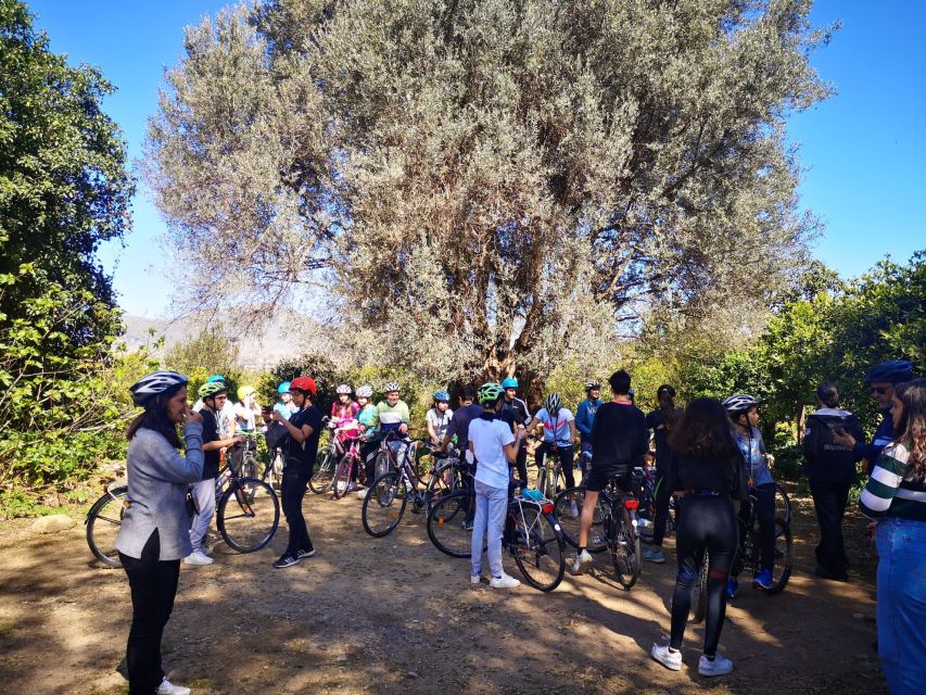 a PRIVATE ride of Favorita Park and Mondello - Favorita Park and the Chinese Palace
