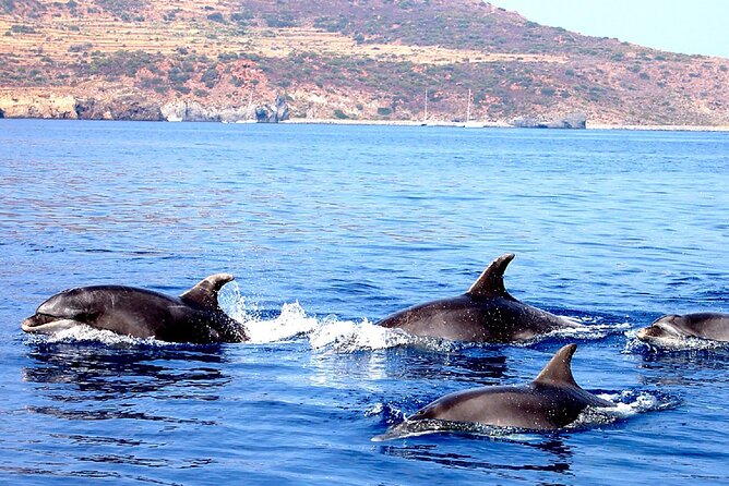 Aeolian Islands - Sailing week with skipper and assistant - Day six: Basiluzzo, Lisca Bianca, and Cala Zimmari