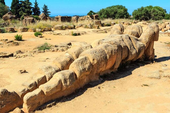 Agrigento and Valley of the Temples Day Trip from Palermo - Who should book this day trip