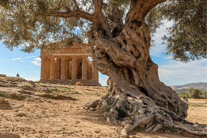 Agrigento to Siracusa with Valley of Temples and Roman Villa Trip - The English-speaking driver makes the difference
