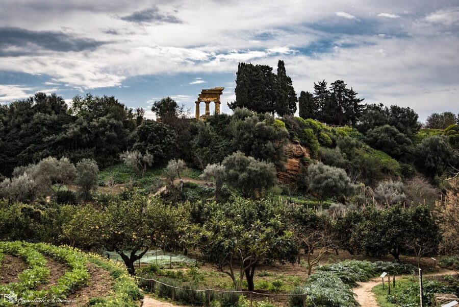 Agrigento Valley of the Temples and Kolymbethra Private Tour - Why Agrigento’s ancient Akragas deserves your time