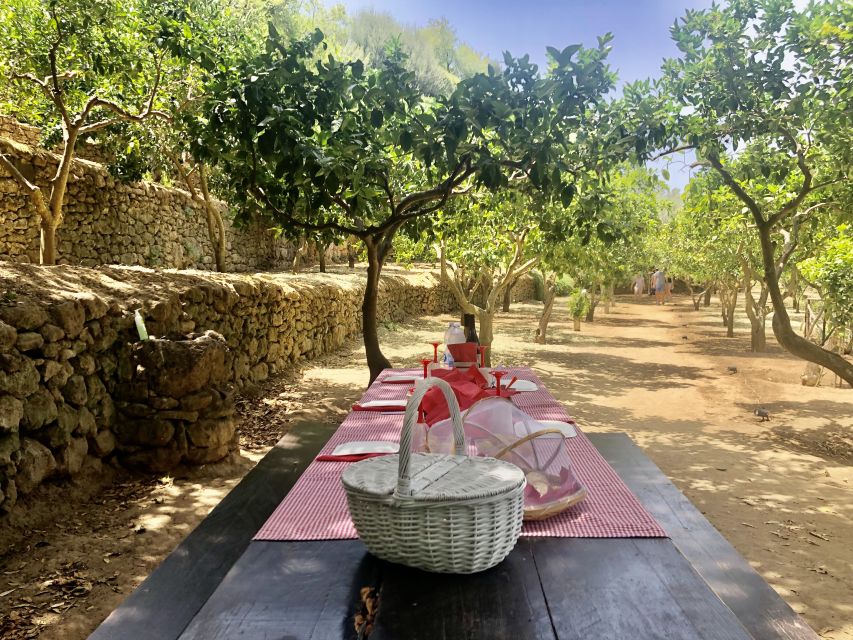 Agrigento: Valley of the Temples Gardens Picnic Experience - Who should book this experience?
