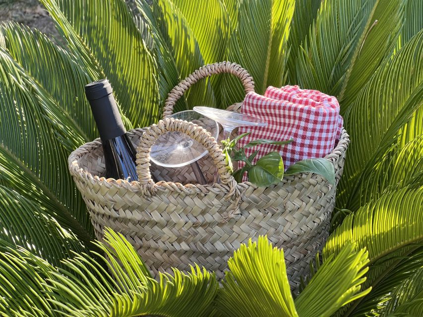 Agrigento: Valley of the Temples Gardens Picnic Experience - Is the food enough for lunch?