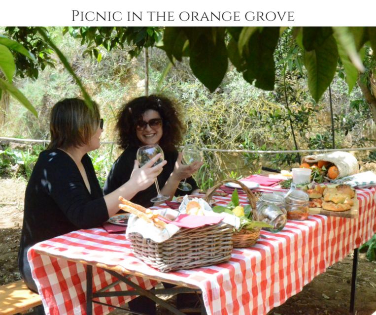 Agrigento: Valley of the Temples Gardens Picnic Experience - The value of eating inside the archaeological park