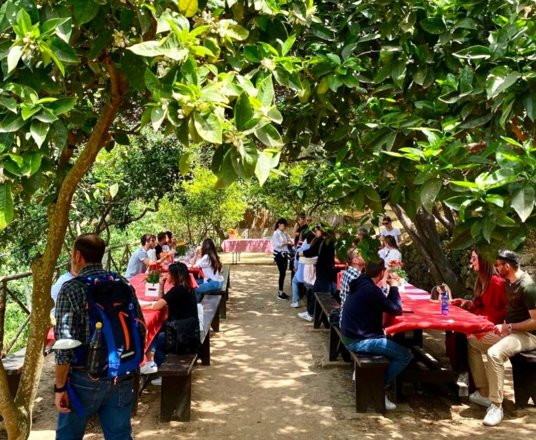 Agrigento: Valley of the Temples Gardens Picnic Experience - Timing your 90 minutes around the temples