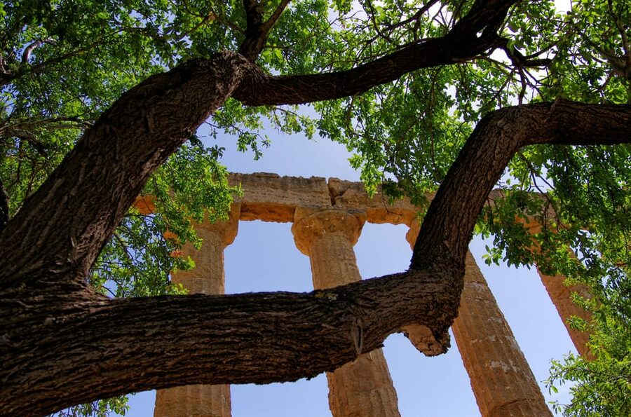 Agrigento: Valley of the Temples Private Archeological Tour - Is $164.26 per person good value?