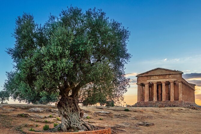 Agrigento; Valley of the Temples, Scala dei Turchi from Palermo, Private Tour - The drivers and guides shape the day