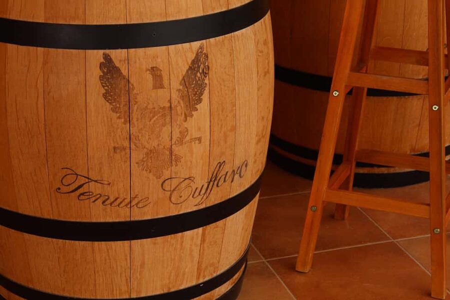 Agrigento: Wine tasting and walk in the vineyards. - Why this is a good Agrigento wine experience