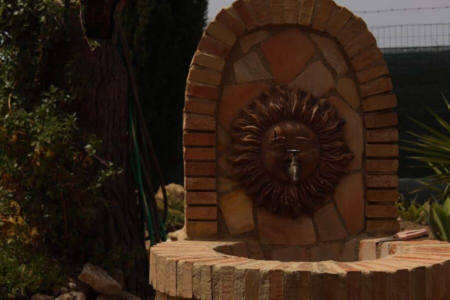 Agrigento: Wine tasting and walk in the vineyards. - Walking through the vineyard