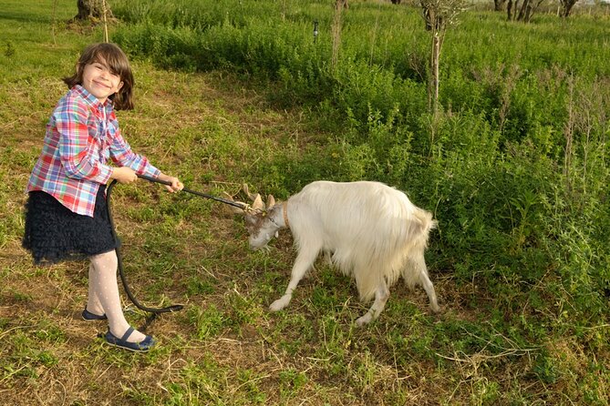 Alcamo Farm Animals and Aromatic Garden - A working farm near Alcamo, not just an animal stop