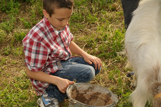 Alcamo Farm Animals and Aromatic Garden - From the animal pens to the farmhouse snack