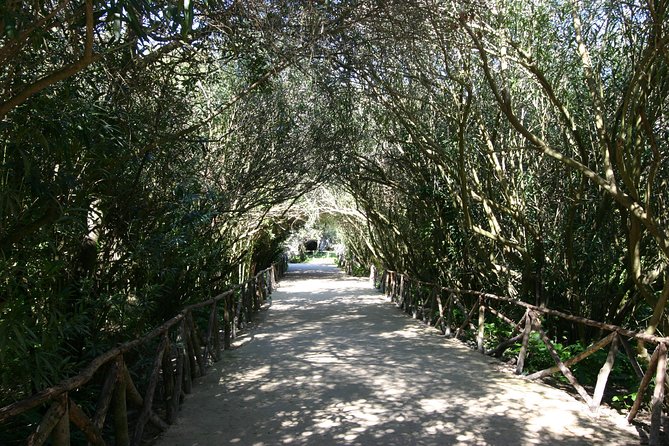 Ancient Syracuse: private guided tour of the Neapolis archaeological park - The Roman amphitheater and a change of era