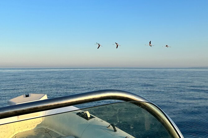 Avola: Vendicari Capopassero Group Boat Tour and Aperitif - Roman columns and snorkeling near Marzamemi