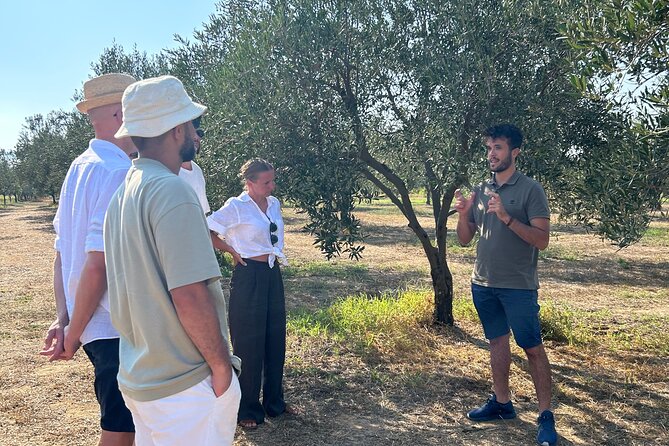 Balestrate Olive Grove Tour: Wine and Olive Oil Tasting - Why this olive grove tour feels different