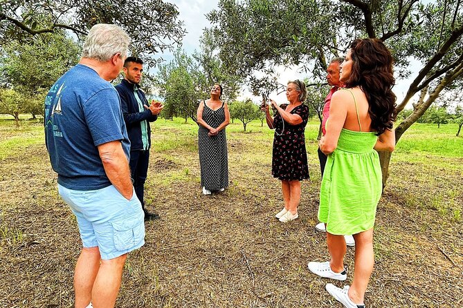 Balestrate Olive Grove Tour: Wine and Olive Oil Tasting - What the $67.72 price buys you