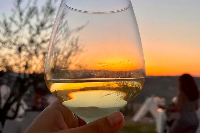 Balestrate Olive Grove Tour: Wine and Olive Oil Tasting - Who will enjoy this Sicilian afternoon