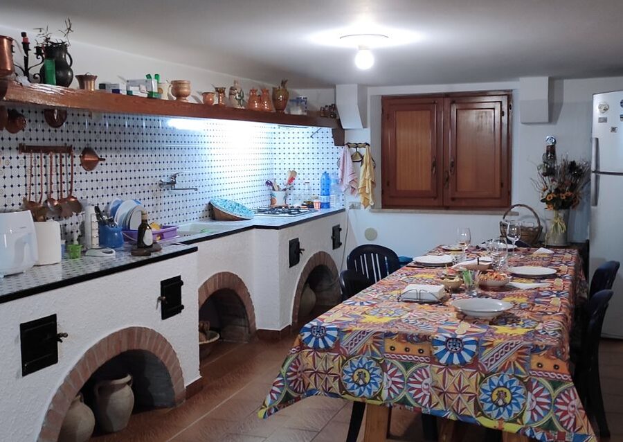 Balestrate: Olive Grove Tour with Wines & Olive Oil Tasting - Wine, Vinegar, and Sicilian Limoncello