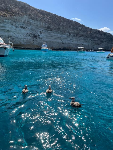 barca liliana ( caligola1) - Cala Pulcino and the island’s bright coves