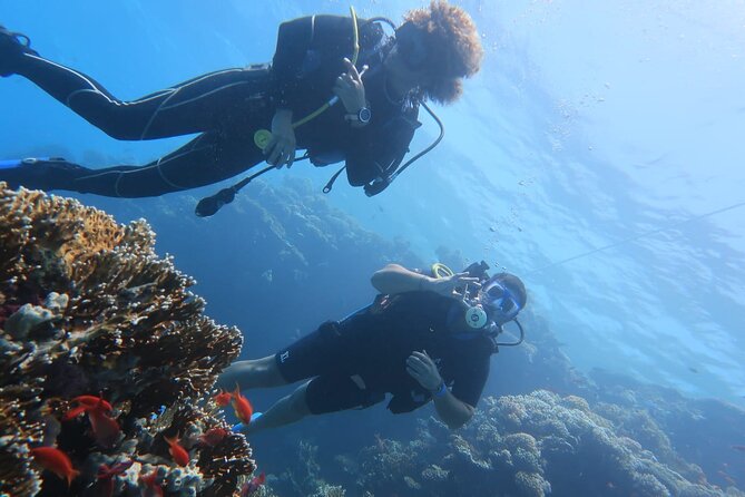 Basic Scuba Diver - Classroom work before practical training