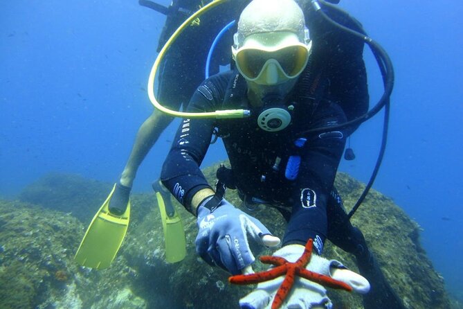 Basic Scuba Diver - Shallow-water practice with Andrea