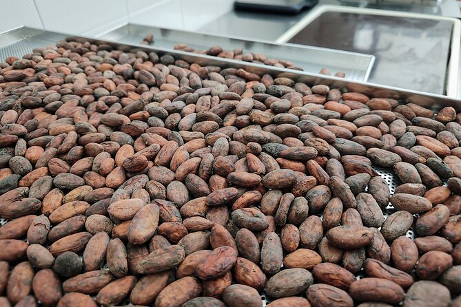 Become a chocolatier for a day, in Modica raw chocolate - From Cocoa Bean to Raw Chocolate