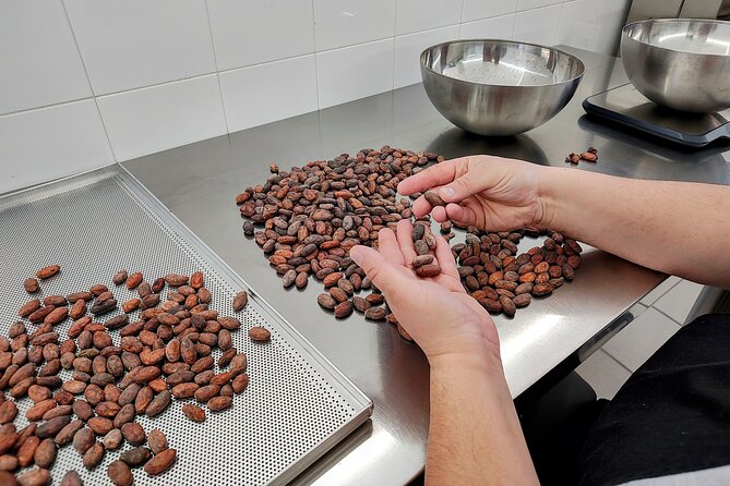 Become a chocolatier for a day, in Modica raw chocolate - Tasting Modica’s Chocolate Before Making Your Own