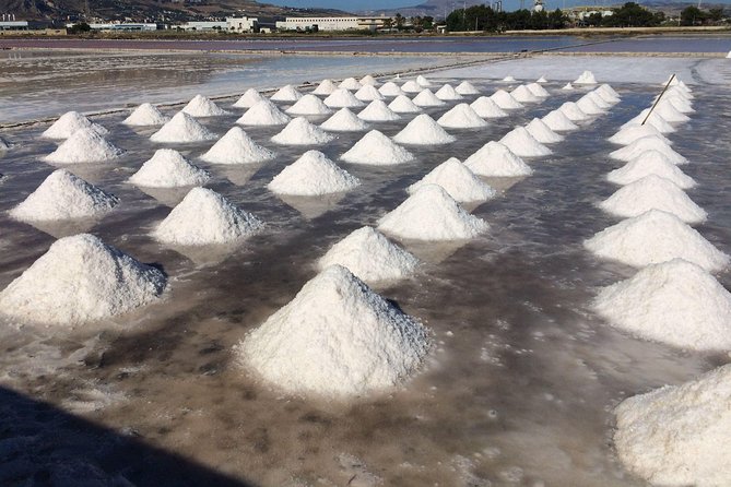 Best Excursion in western Sicily to Erice, Trapani Salt Flats from Palermo - What the private vehicle changes
