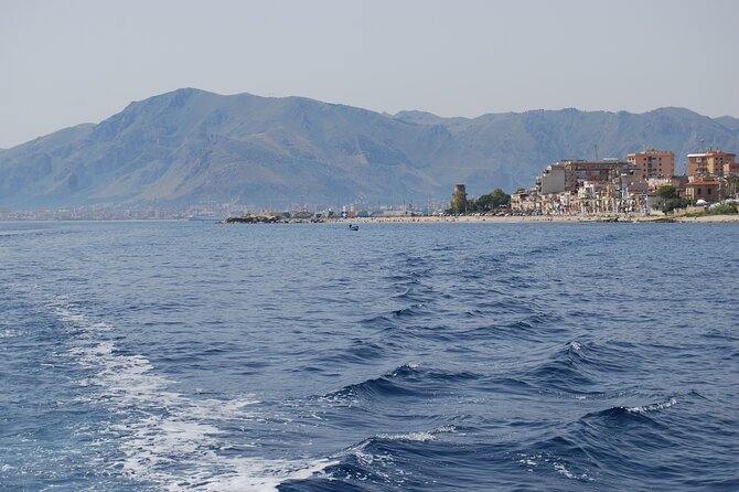 Boat excursion in Palermo - Price, value, and what is actually included