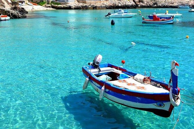 Boat excursion to the island of Favignana - Key Points to Know Before You Book