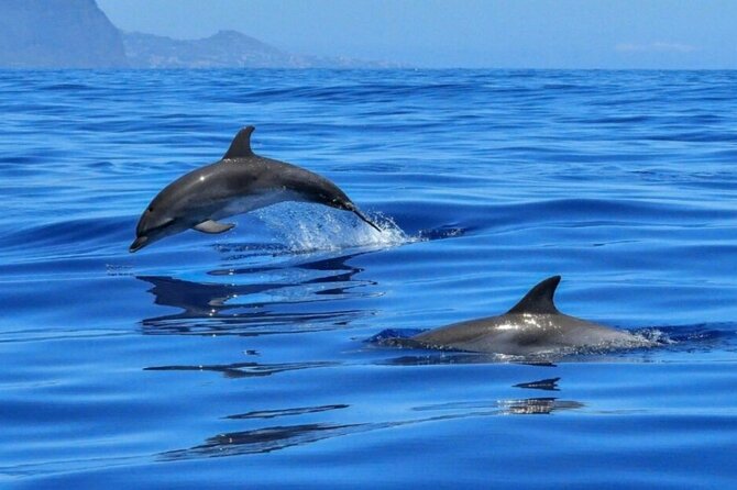 Boat tour Giardini Naxos Taormina Isola Bella Blue Grotto - The swimming stop is the tour’s easy pleasure