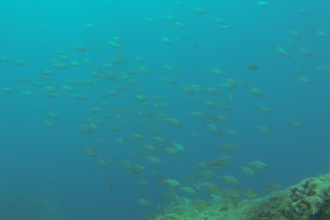 Bubble maker (scuba diving for children) - A first underwater lesson in Mazzarò Bay