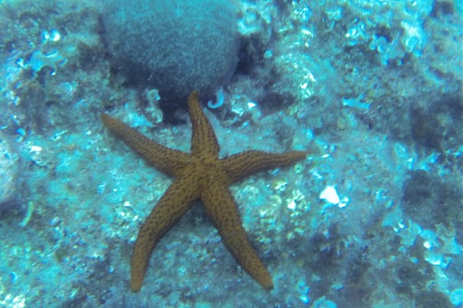 Bubble maker (scuba diving for children) - What the staff bring to the experience