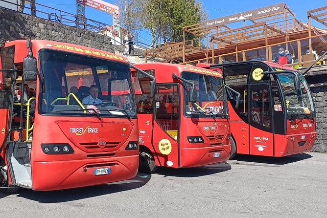 Bus Etna Experience of Italy - Who will get the most from this Etna trip