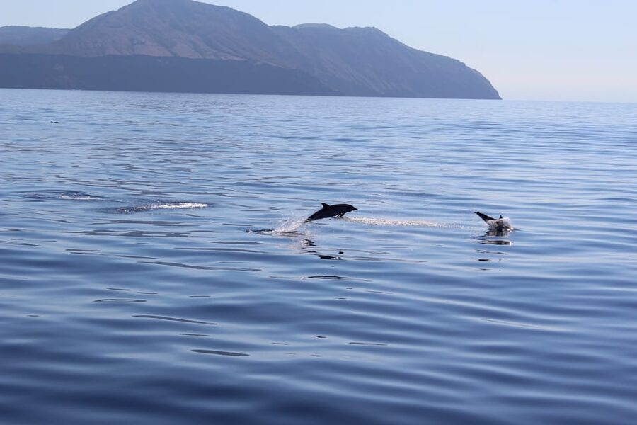 Capo D'Orlando: Salina, Panarea, Stromboli Tour with Boat - Smart ways to prepare
