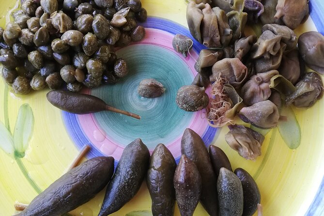 Cappero di Salina: Un'Esperienza di Degustazione Unica - What the $55.51 price buys you