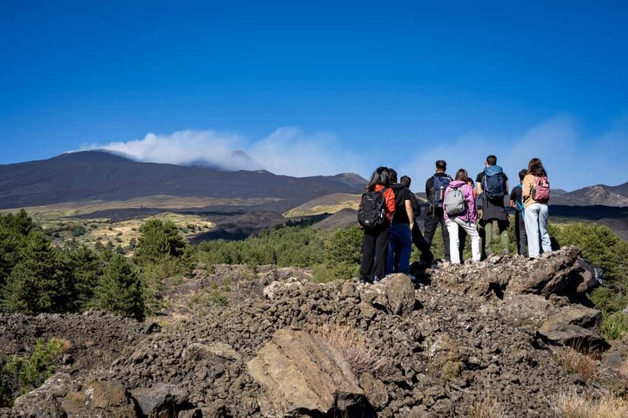 Catania: Amazing Etna Morning Tour with Pickup and Drop-Off - What the guide adds to the experience