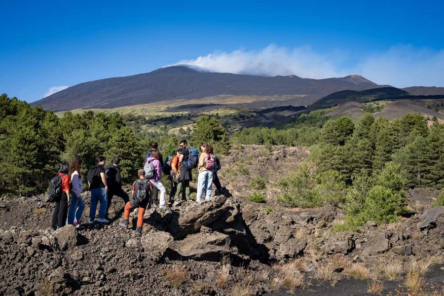 Catania: Amazing Etna Morning Tour with Pickup and Drop-Off - Pickup in Catania and the road uphill