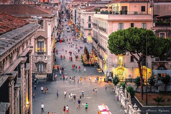 Catania (cathedral and via Etnea) - Syracuse Ortigia - Who should book this Palermo day trip?