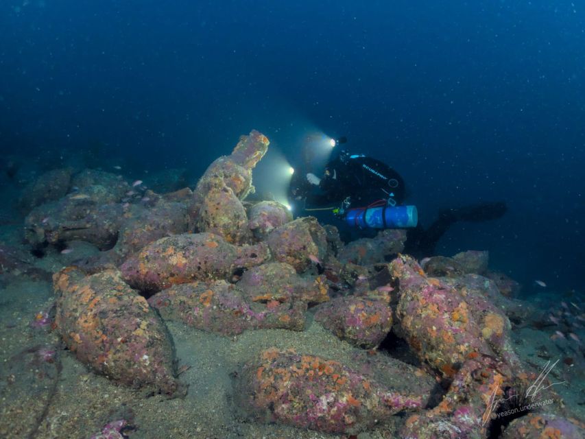 Catania : Diving for patented divers - Fish, Shells, Plants, and Stingrays