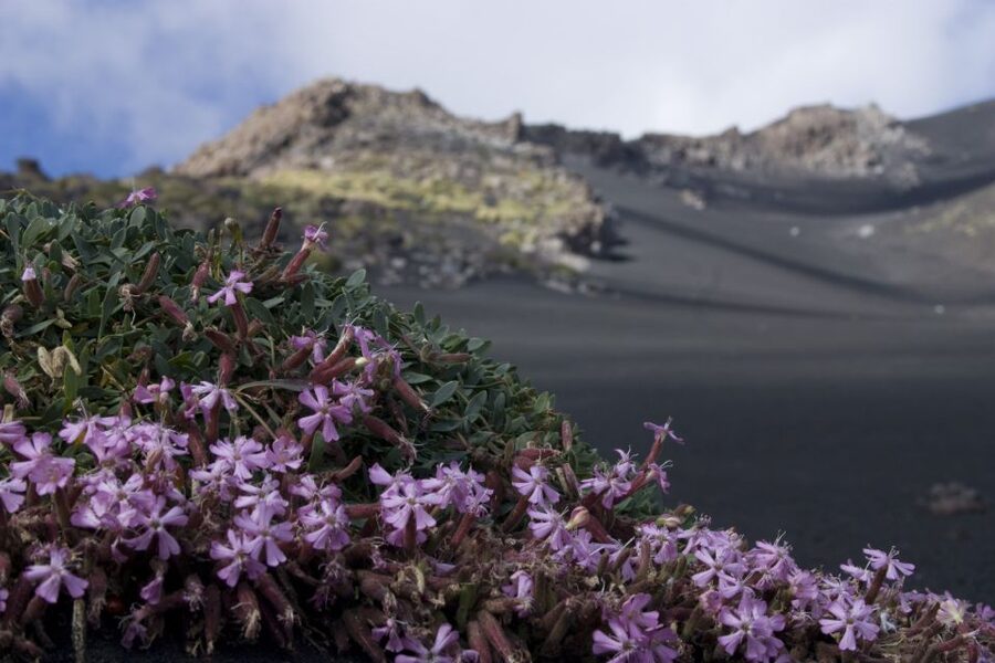 Catania: Etna Morning or Sunset Trek with Lava Tunnel & Gear - Clothing, fitness, and comfort