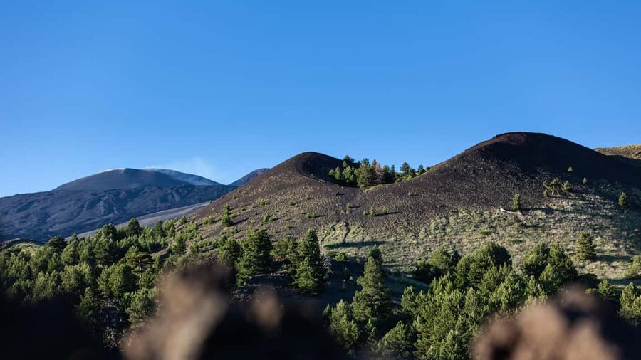 Catania: Etna Nature Tour with Hiking, Cave Visit, & Tasting - The guides shape the whole day