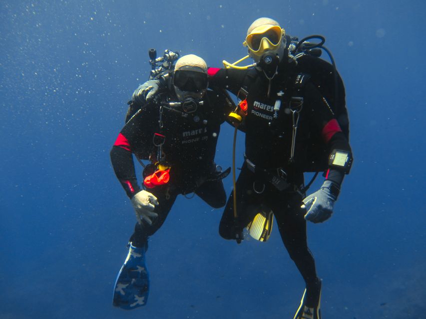 Catania: Gulf Scuba Diving Tour with Marine Biologist - Key points to know before you book